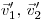  \vec v'_1, \, \vec v'_2 