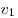 v_1 