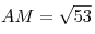 AM = \sqrt {53} 