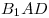 B_1 AD