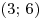 (3;\,6)