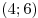 (4; 6)