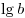 \lg b