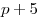 p + 5