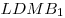 LDMB_1 