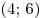 (4; \,6)