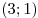 (3; 1)