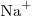 {\rm{Na}}^ +  